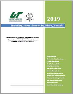 Manual SQL Server 2019